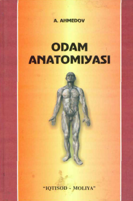 Odam anatomiyasi